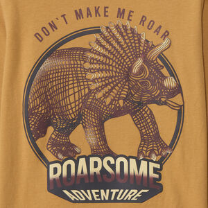 T-shirt manches longues print dinosaure pour garçon  