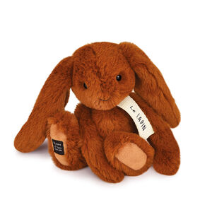 Petite peluche Lapin 20 cm (modèle aléatoire) 