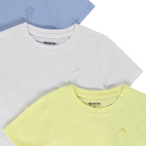 Lot de 3 t-shirts manches courtes puff print palmier garçon 