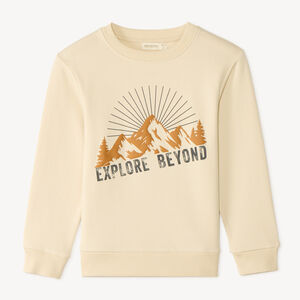Sweat en molleton print fantaisie pour garçon 