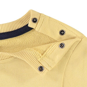 Sweat molleton print dino pour bébé garçon 