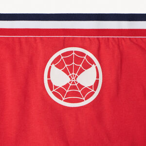 Lot de 5 boxers Avengers Marvel pour garçon 