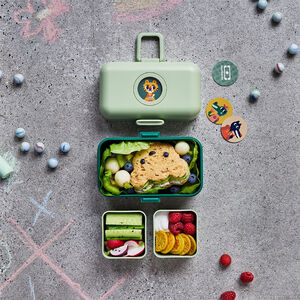 Lunchbox Tresor green forest 800ml 