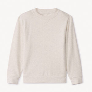 Sweat en molleton gratté uni pour garçon 