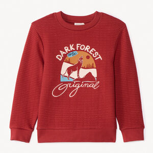 Sweat en molleton texturé fantaisie pour garçon  