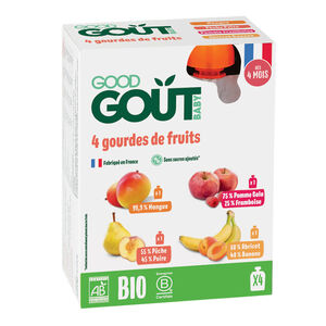 Lot de 4 gourdes de fruits 4x120g 