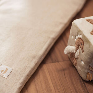 Cube d'activités Deepsea 