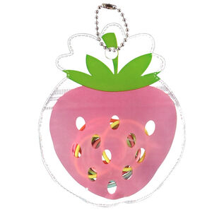 Lot de 15 élastiques dans pochette fraise fille 