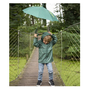 Parapluie Mr Dino 