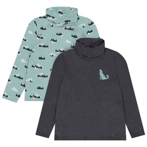 Lot de 2 sous-pulls à col roulé uni et imprimé montagne garçon 