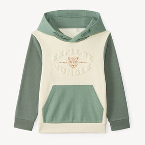 Sweat à capuche garçon color block 