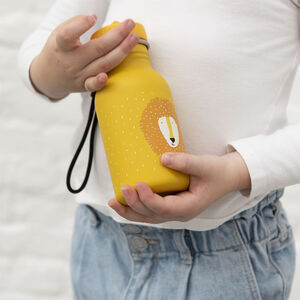 Gourde en acier inoxydable 350ml - Mr. Lion 