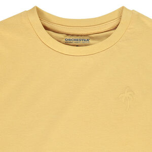Lot de 3 t-shirts manches courtes print palmier garçon 