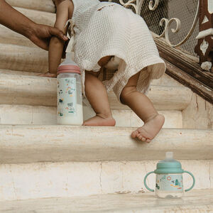 Biberon avec tétine symétrique SX Pro L 360 ml Walk in the park rose 