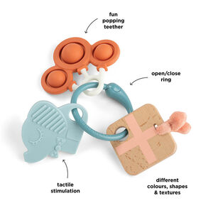 Jouet sensoriel en anneau d'activités Célébration 