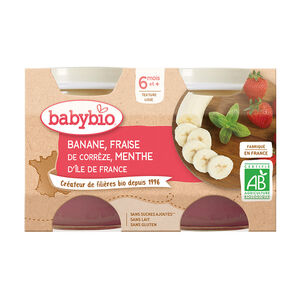 Petit pot banane fraise menthe bio - 2x130g 