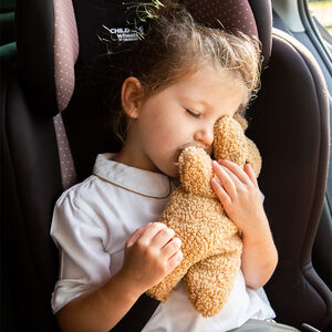 Protège-ceinture de sécurité Teddy Brun 