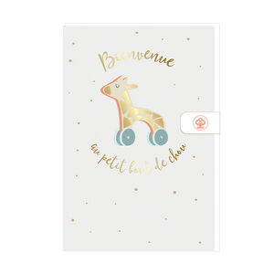 Carte de vœux avec enveloppe "Bienvenue au petit bout de chou" 