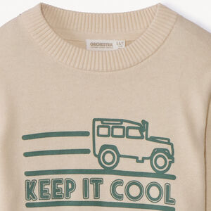 Pull en tricot printé pour garçon 