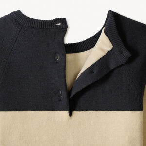 Pull ludique chien en tricot tricolore pour bébé garçon 