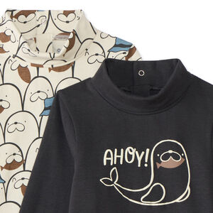 Lot de 2 sous-pulls à col cheminée bébé garçon 