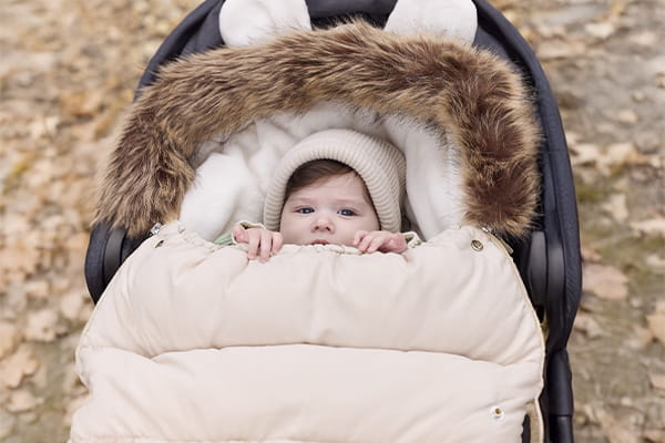 Chancelières polaires