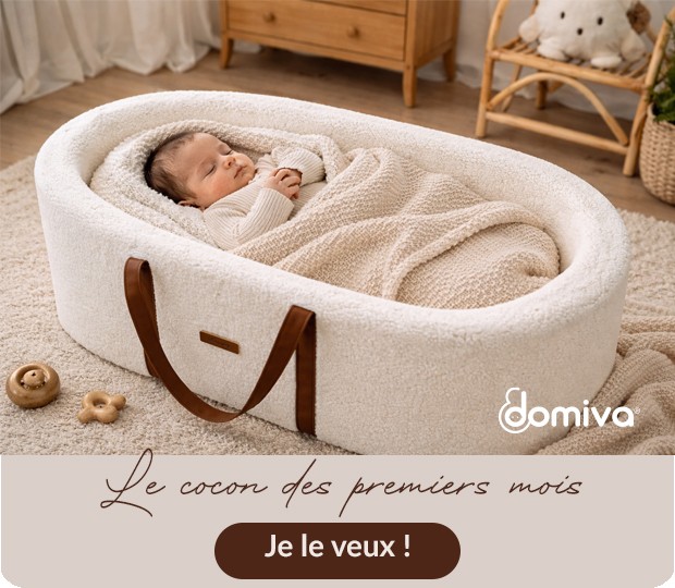 Domiva