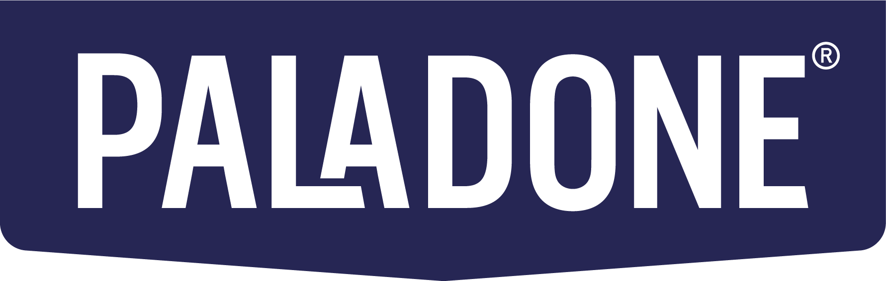 Logo Paladone