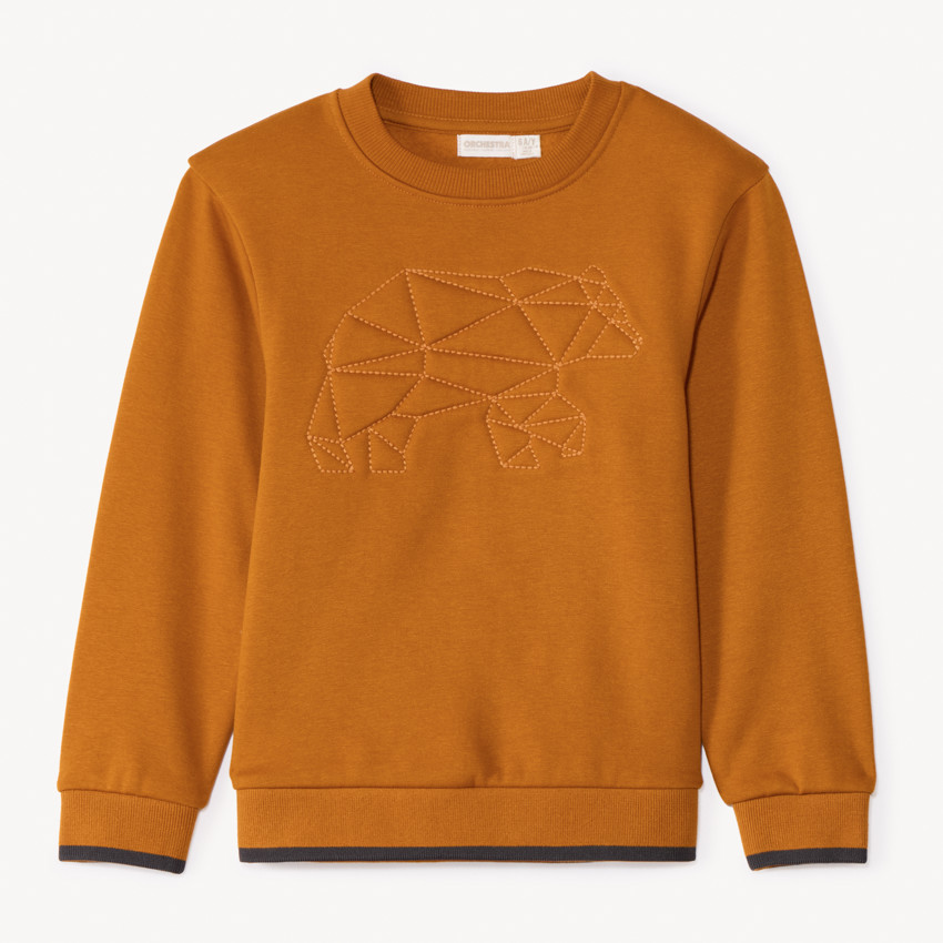Sweat molleton avec animal surpiqué pour garçon