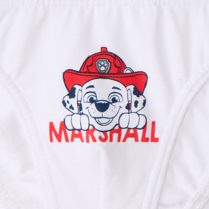 Lot de 3 slips printés Pat'Patrouille pour garçon 