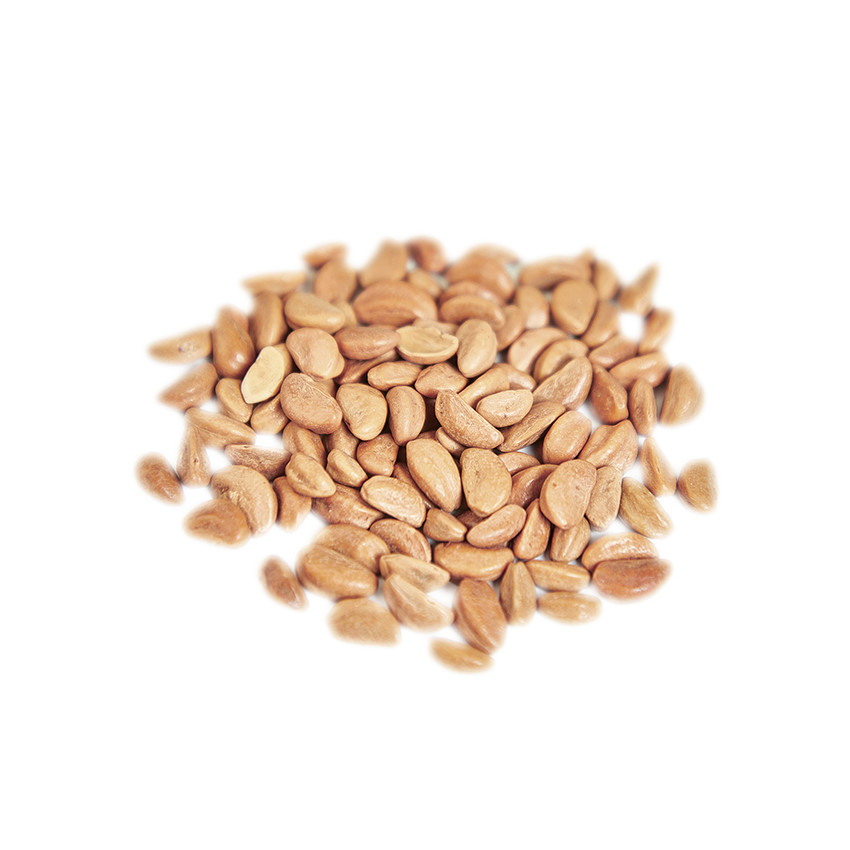 Hochet à sons en bois (modèle aléatoire) 