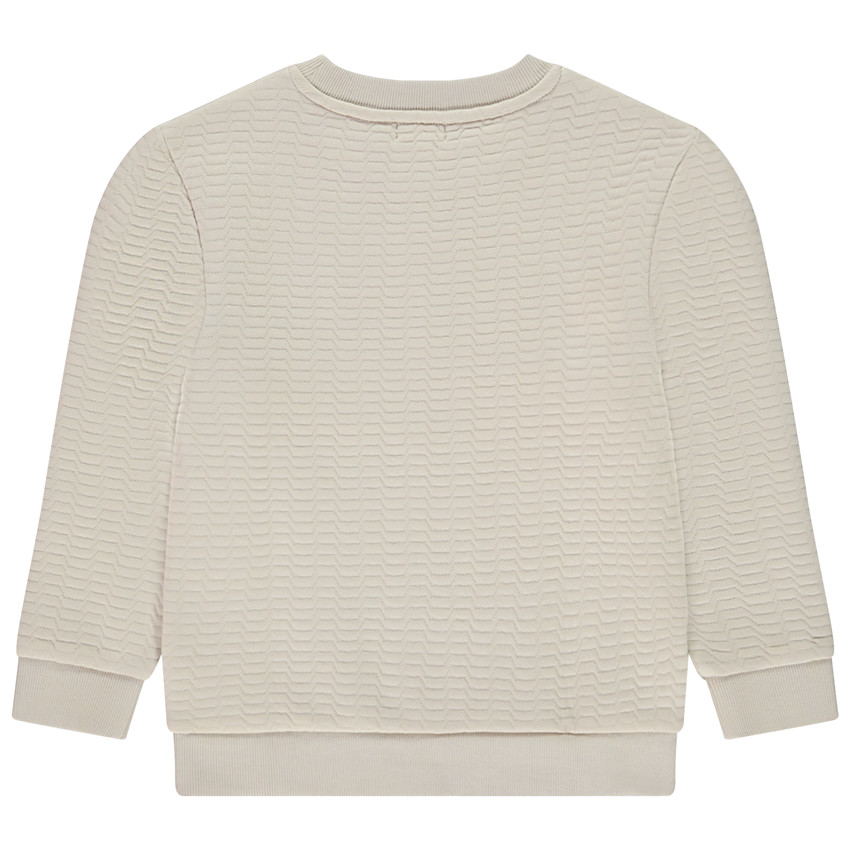 Sweat en molleton texturé print fantaisie pour garçon  