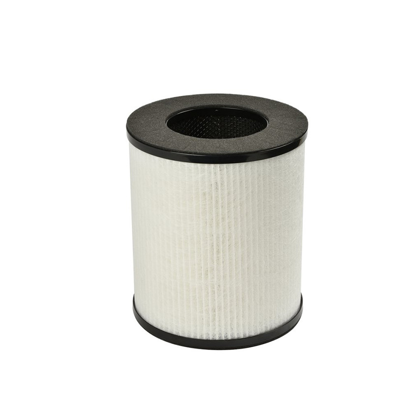Filtre de purificateur d'air 