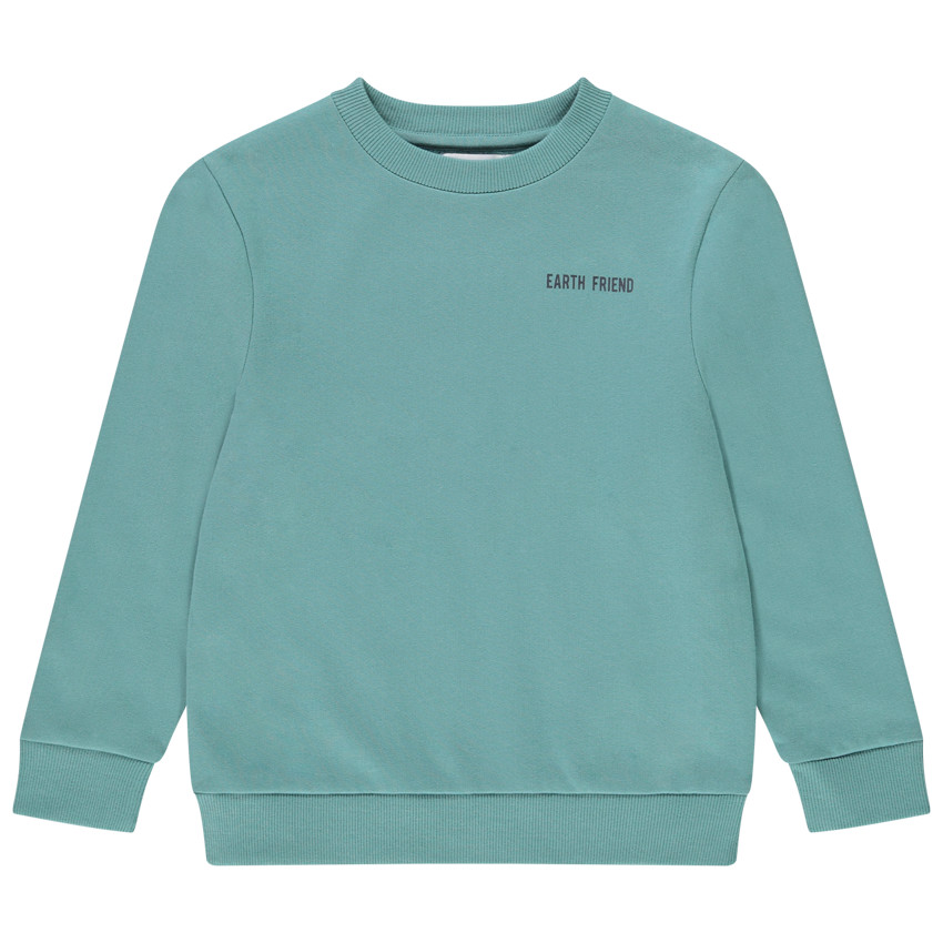 Sweat en coton IC* avec print et broderie pour garçon Main Sweat en coton IC* avec print et broderie pour garçon