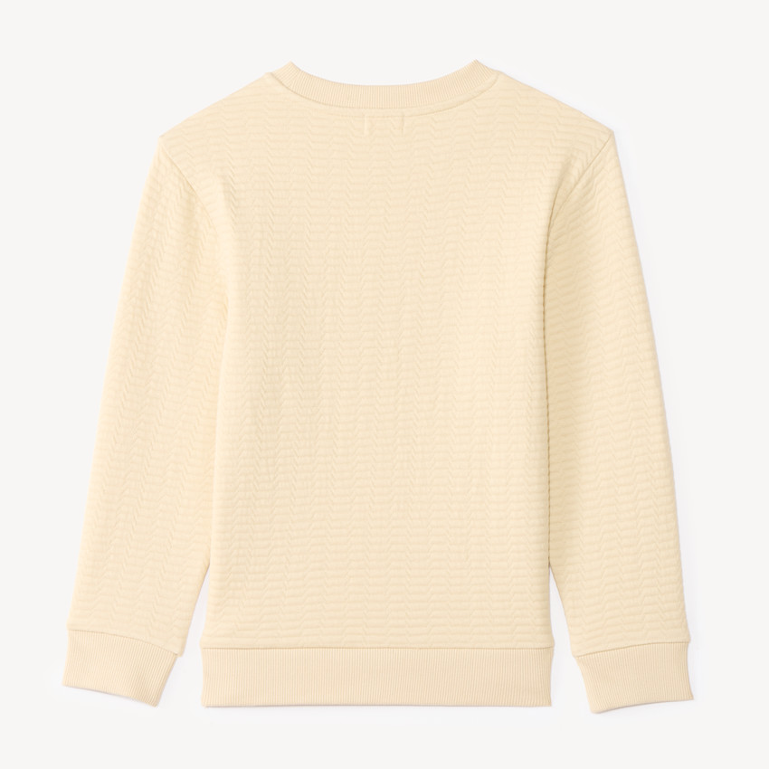 Sweat garçon en maille texturée et print fantaisie 