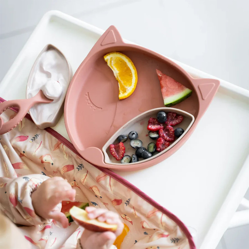 Coffret 5 pièces La diversification en toute simplicité Renard 