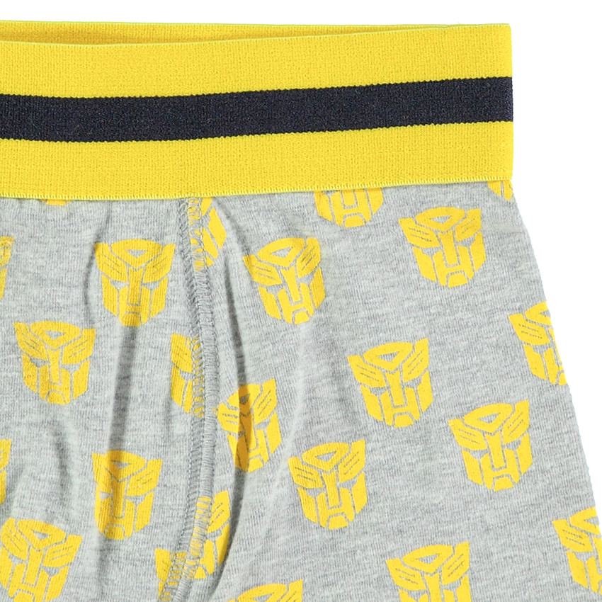 Lot de 2 boxers en coton avec prints Transformers 