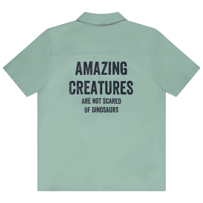 Chemise manches courtes en popeline avec print dinosaure pour garçon 