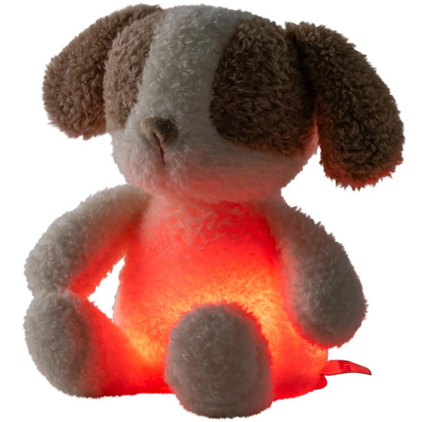 Veilleuse peluche chien - Teddy - Vanille 