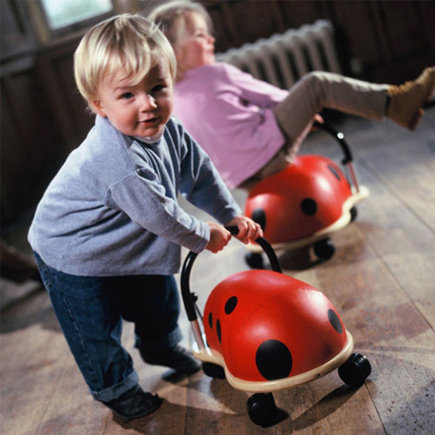 Porteur Coccinelle Small 