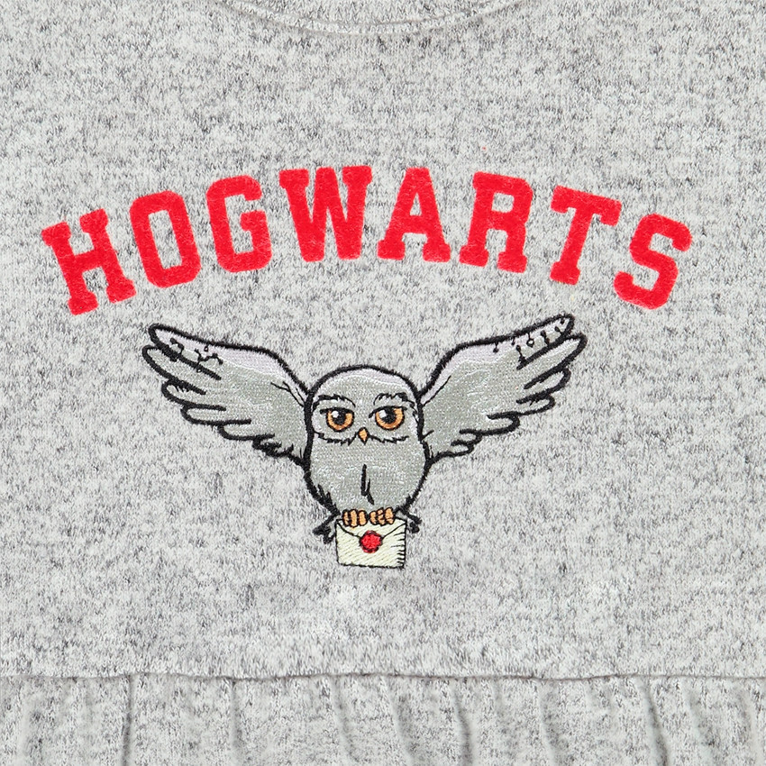 Tunique manches longues pour fille motif Hedwige Harry Potter 