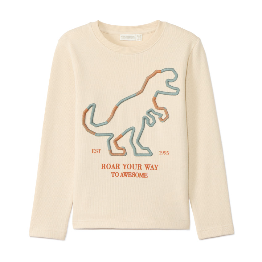 T-shirt manches longues broderie dinosaure pour garçon