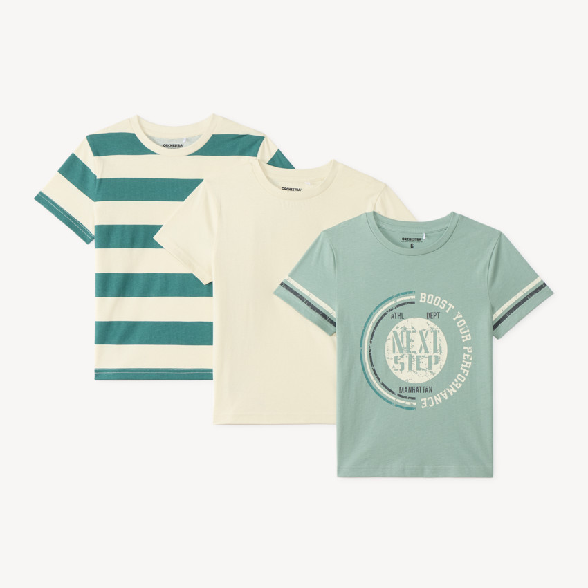 Lot de 3 t-shirts manches courtes fantaisie garçon 