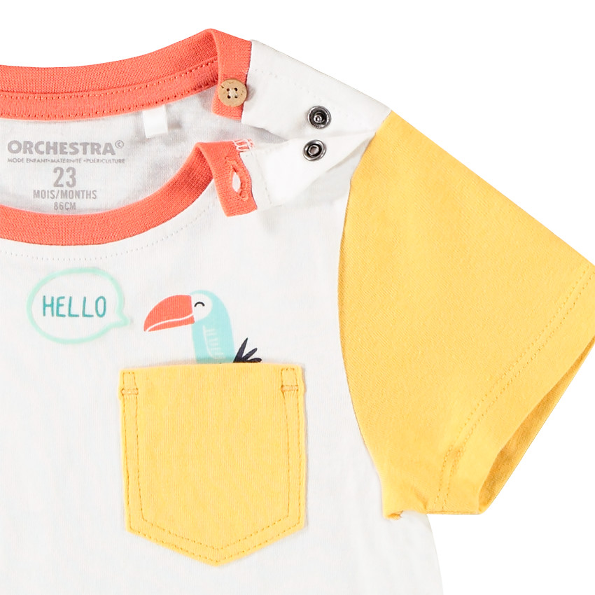 Ensemble de plage t-shirt et short à motifs Toucan/Palmier 