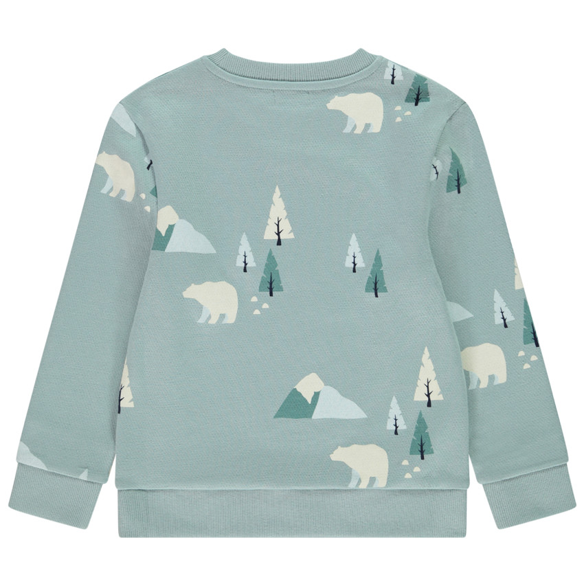 Sweat molleton imprimé fantaisie pour garçon 