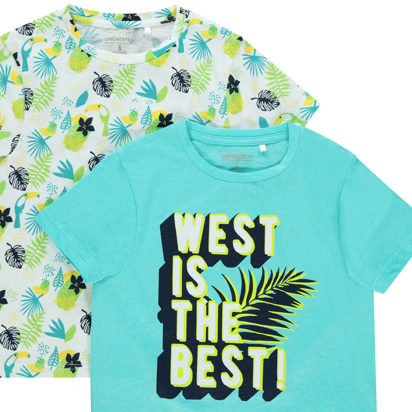 Lot de 5 t-shirts manches courtes imprimés / unis 