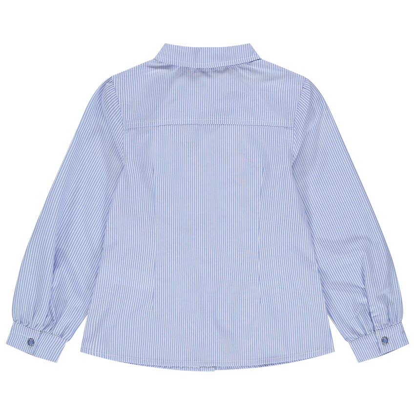 Chemise à rayures verticales et fleurs brodées 