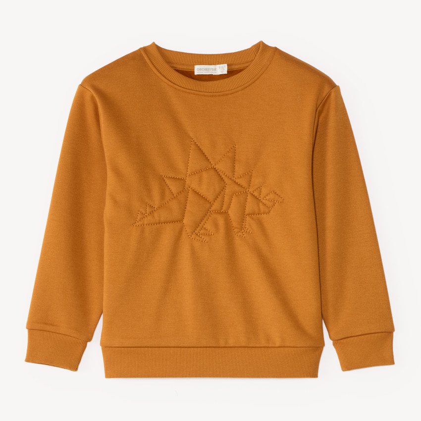 Sweat en molleton doublé polaire garçon 