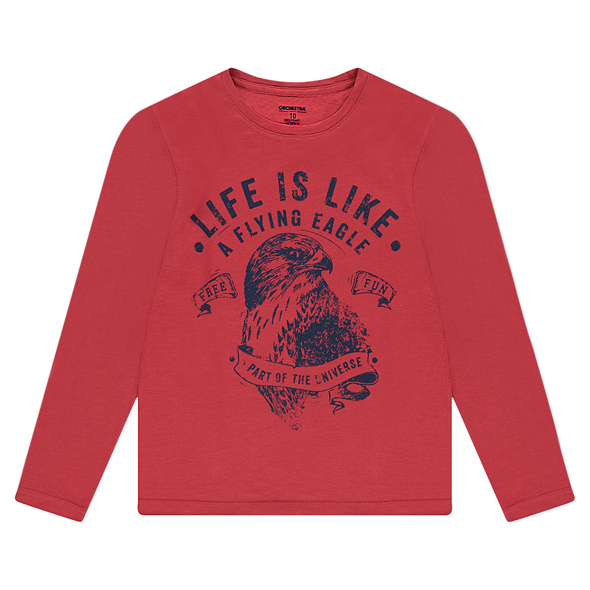Tee-shirt manches longues en jersey avec aigle printé 