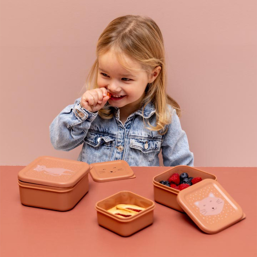 Lot de 3 lunchbox gigognes Mrs. Cat rose 